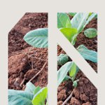 Seminário “A Terra nos Objetivos de Desenvolvimento Sustentável”