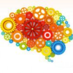 2.º Encontro de Estudantes do Colégio “Mente-Cérebro” da ULisboa