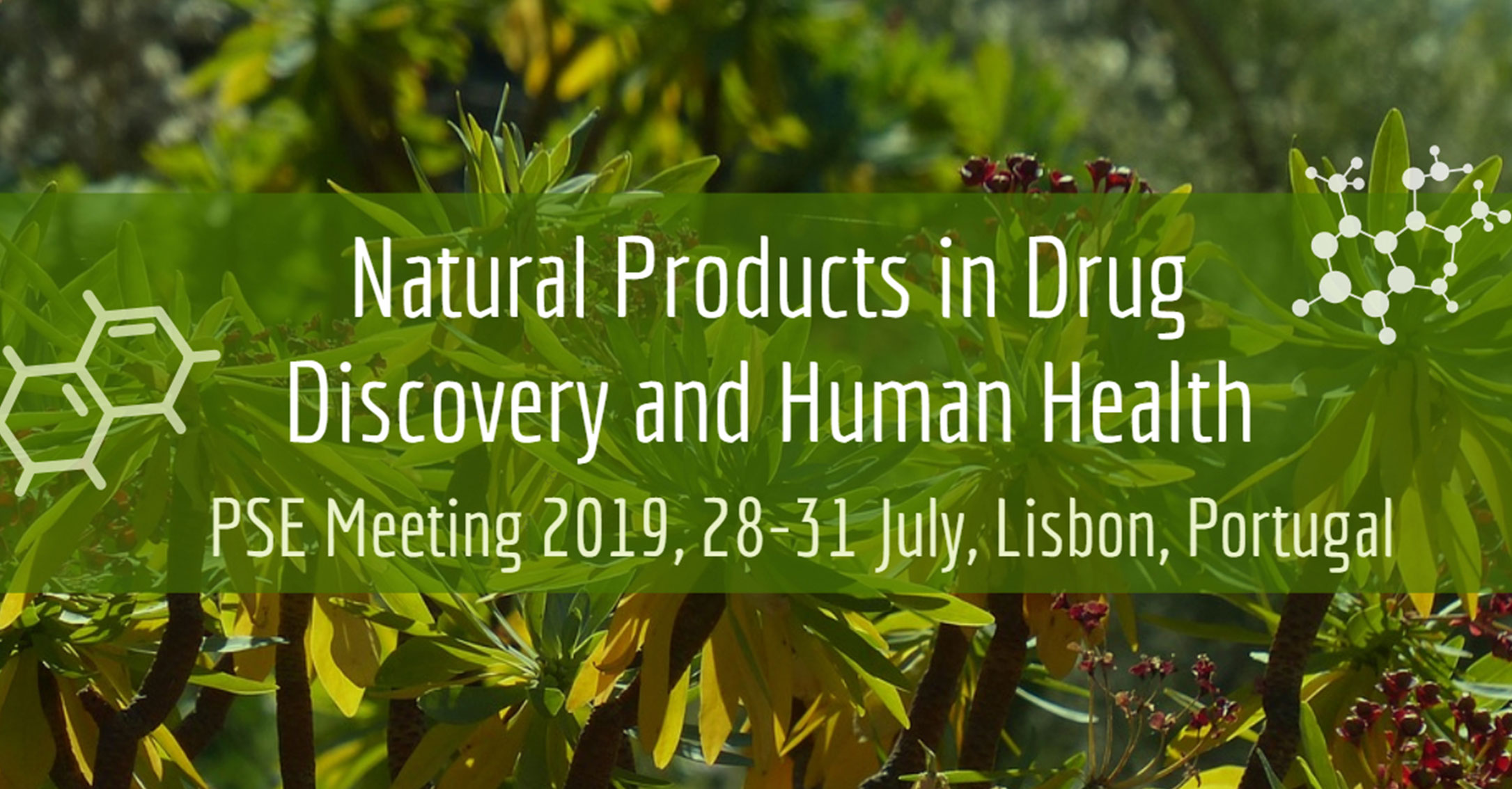 Conferência “Natural Products in Drug Discovery and Human Health (NatProdDDH)”