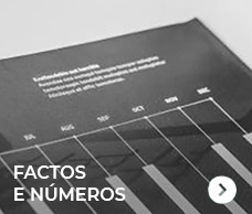 Factos e Números