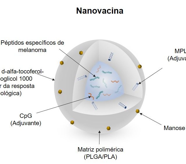 Esquema da composição da nanovacinas. Figura incluída no artigo publicado na revista Nature Nanotechnology, DOI: 10.1038/s41565-019-0512-0 https://www.nature.com/articles/s41565-019-0512-0