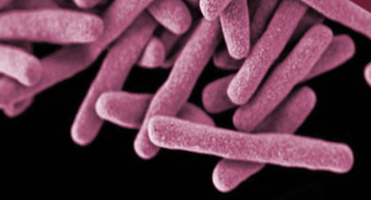 II Simpósio de Investigação em Tuberculose e Micobactérias Não Tuberculosas em Portugal
