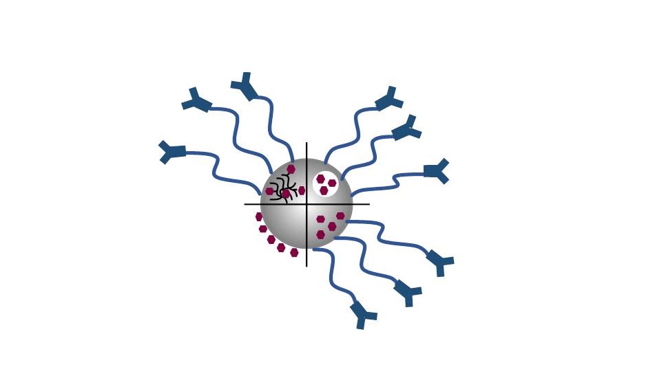 Curso Avançado de Doutoramento “Advanced Drug Delivery”