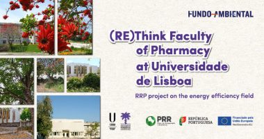 (Re)Think Faculty of Pharmacy at Universidade de Lisboa
