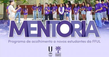 Programa de Mentoria