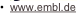 shapeimage_2_link_2