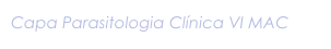 Capa Parasitologia Clínica VI MAC