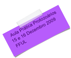     Aula Prática Protozoários   
   15 e 16 Dezembro 2009        
    FFUL
