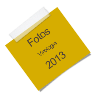 Fotos 
Virologia
2013
